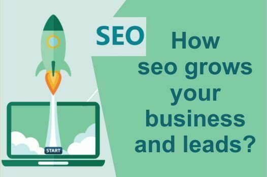 How seo grows your business and leads?