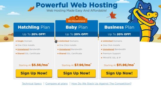 hosting plan